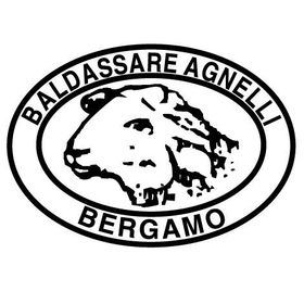 BALDASSARRE AGNELLI S.P.A..jpg